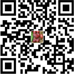 支付宝收款码